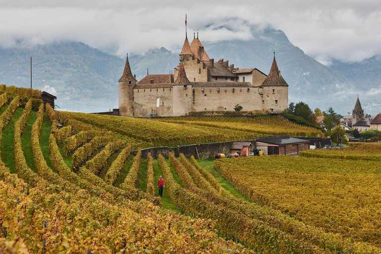 Voyage privé : Interlaken&gt; Château d&#039;Aigle, vignobles et Montreux