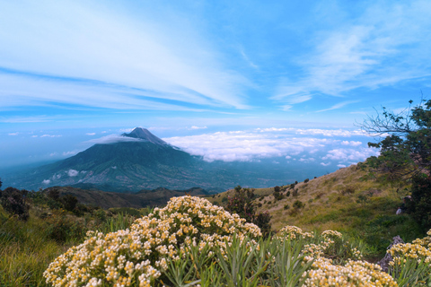 Mount Merbabu Sunrise with Transport, Ticket All InclusiveFrom Borobudur: Merbabu Sunrise All Inclusive