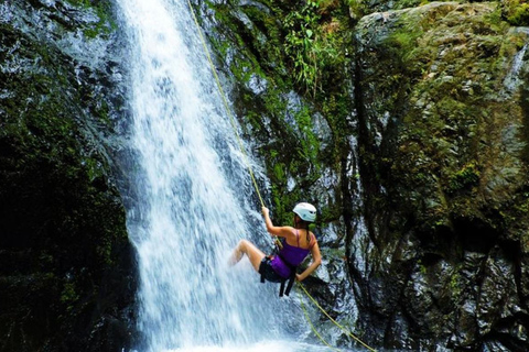Santa Marta & Minca: Jungle Hike and Waterfall Rappelling