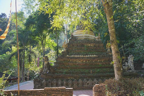 Temple de Doi Suthep, ferme d&#039;orchidées et cascade de Sticky avec déjeuner