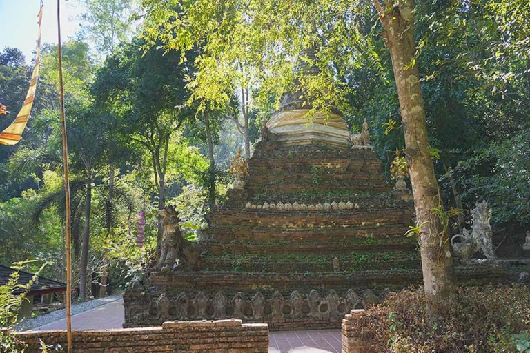 Doi Suthep Tempel, Orchideeën Hoeve &amp; Kleverige Waterval met Lunch