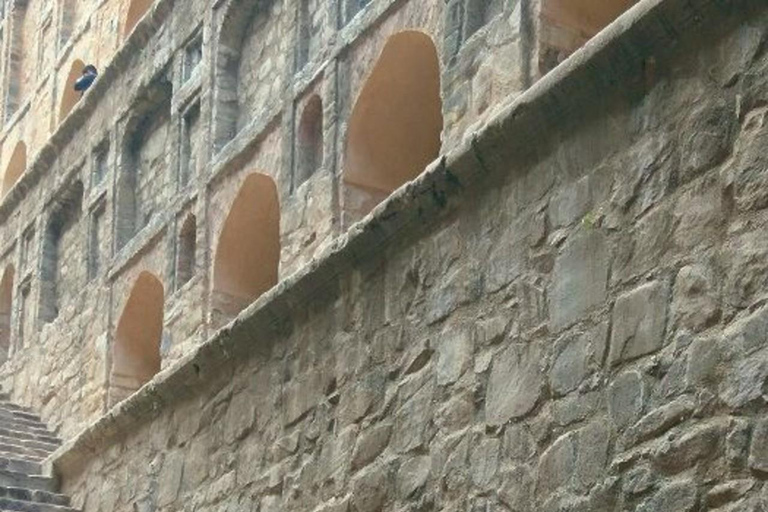 La experiencia completa de Delhi: tour de día completo en coche