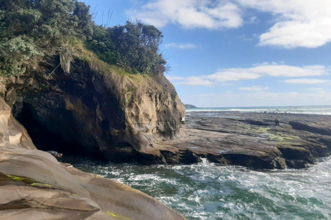 Tour privato della spiaggia di Muriwai e della colonia delle sule