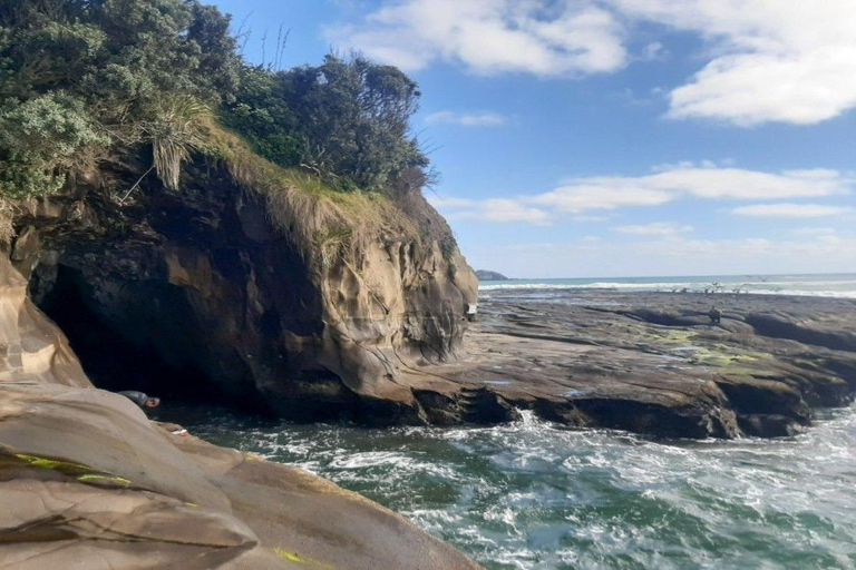 Tour privato della spiaggia di Muriwai e della colonia delle sule