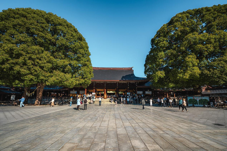 Tokyo full day Spanish speaking tour with hotel pick up and drop off.