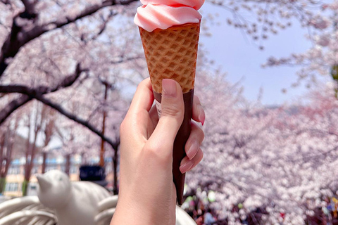 Seoul: Jinhae Cherry Blossom Tour with Busan Drop-off Option [Round Trip From Seoul] Jinhae Cherry Blossom Day Tour