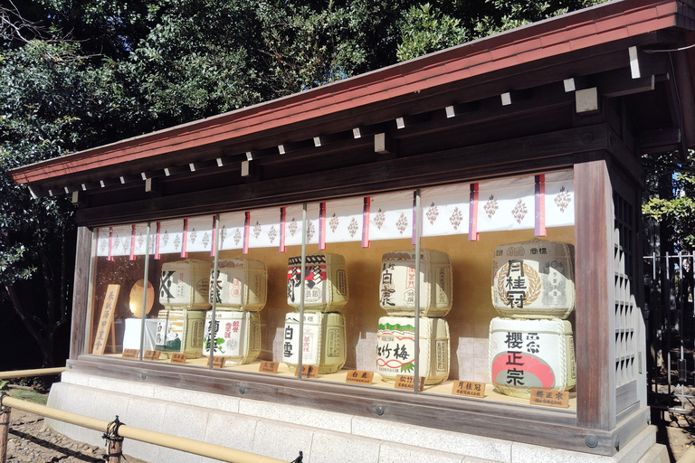 Tokyo War History Tour: Yasukuni Shrine & War Museum War & Remembrance Tour (3.5 Hours)