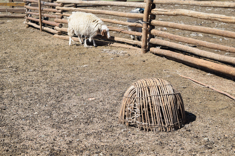 From Ulaanbaatar: 8-Day Gobi Desert Tour with Ger Camps