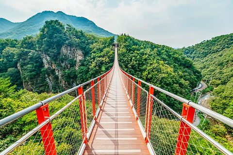 DMZ Private Tour 3rd Tunnel & with Suspension Bridge Private Group (UP to 6 People) Hotel Pickup & Dropoff