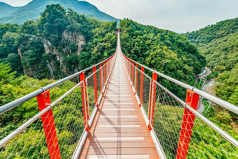 DMZ Private Tour 3rd Tunnel & with Suspension Bridge Private Group (UP to 6 People) Hotel Pickup & Dropoff