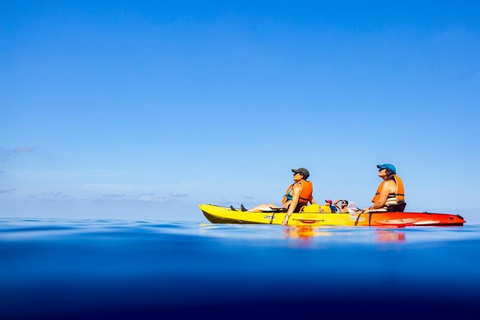 Discover the Island Dragonera by kayak and on foot