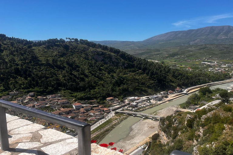 Apollonia, Ardenica & Divjakë Day Tour from Berat