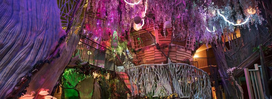 Santa Fe : billet pour Meow Wolf The House of Eternal Return