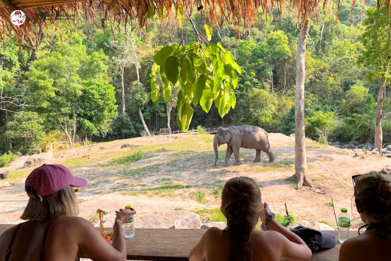 Chiang Mai: Elephant Observation & Wang River Bamboo Rafting
