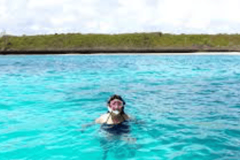 Zanzibar: Swim with Starfish and Snorkeling At Blue Lagoon