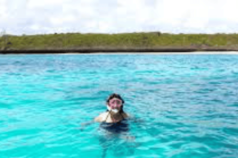 Zanzibar: Swim with Starfish and Snorkeling At Blue Lagoon