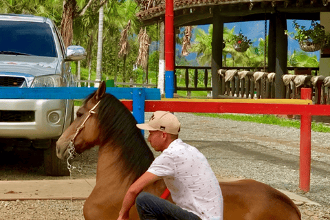 Medellin: Horseback riding, animal show and skyline view