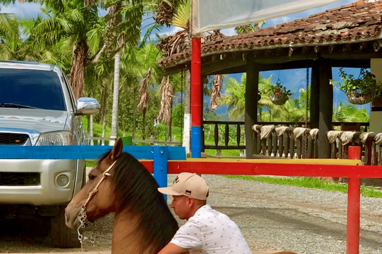 Medellín: Passeio a cavalo, espetáculo de animais e vista do horizonte