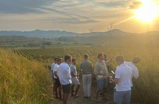 Weinbergsspaziergang und Verkostung