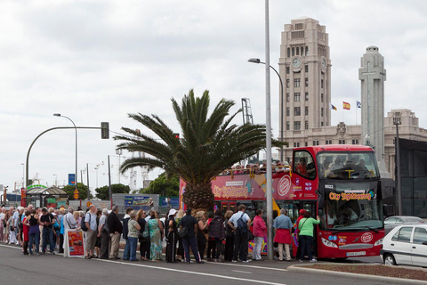 City Sightseeing: Santa Cruz de Tenerife HOHO Bus Tour 24-Hour Hop-On Hop-Off Bus Tour