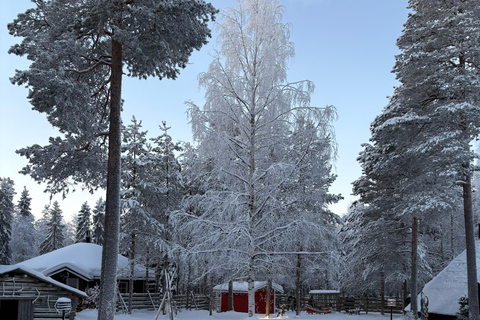 Rovaniemi: Reindeer Farm Visit with Sleigh Ride & Pickup