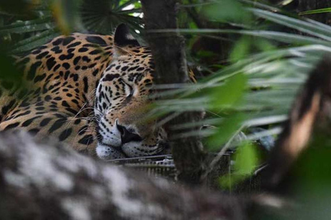 Belize: Zoo Tour