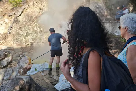 São Miguel: 2-tägige Insel Tour, Tee- und Ananasplantage