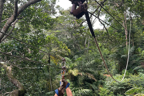 Panama City: Canopy, a 10-line adventure circuit, Gamboa