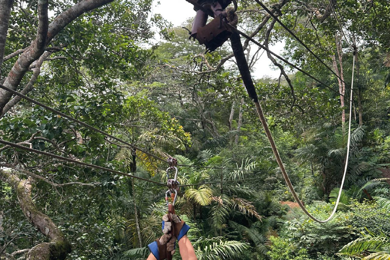 Panama City: Canopy, a 10-line adventure circuit, Gamboa