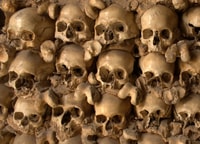 Benagil & Silves Castle Seightseing Tour from Albufeira - Housity