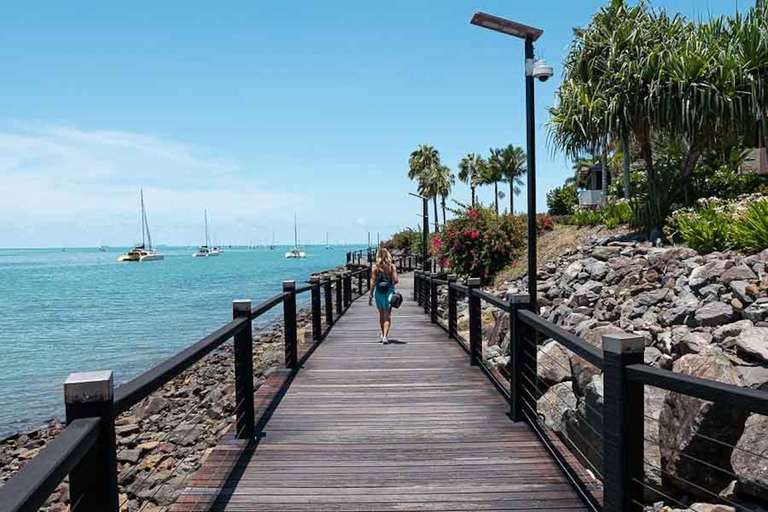 Airlie Beach: Whitsundays Mainland Eco Tour & Brewery Visit