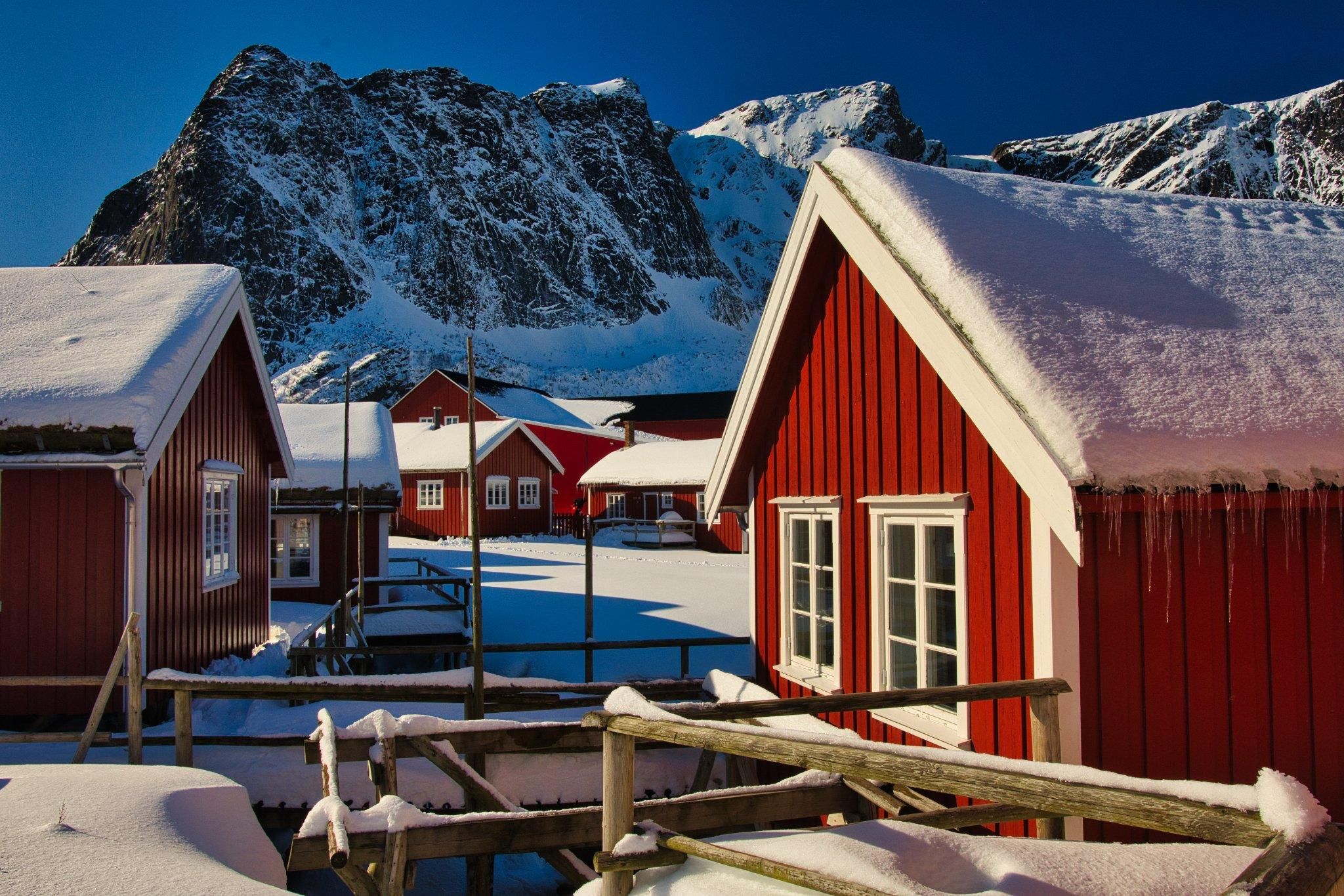 Ab Svolvær: Lofoten-Strände & Henningsvær – Halbtagestour