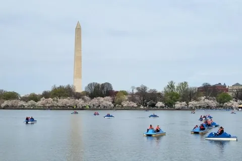 Washington DC: Tidal Basin Waterfietsen