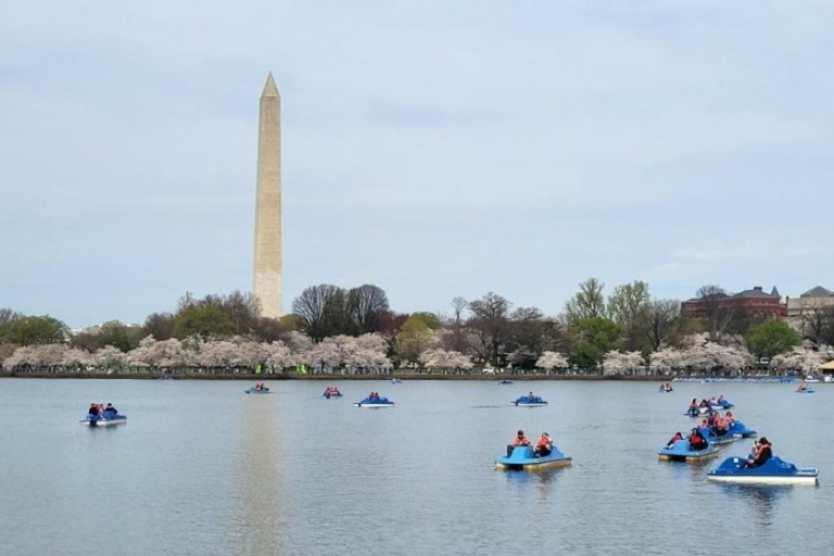 Washington DC : Location de pédalos à Tidal Basin