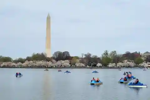 Washington DC: Tidal Basin Pedal Boat Rental