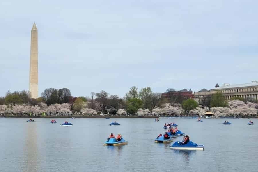 Washington DC: Tidal Basin Tretbootverleih. Foto: GetYourGuide