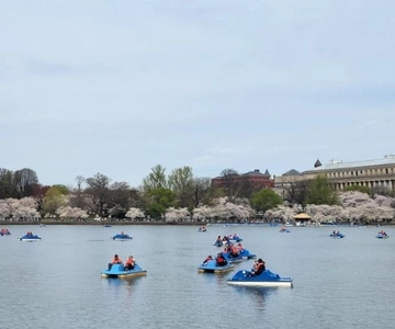 Washington DC: Tidal Basin Pedal Boat Rental