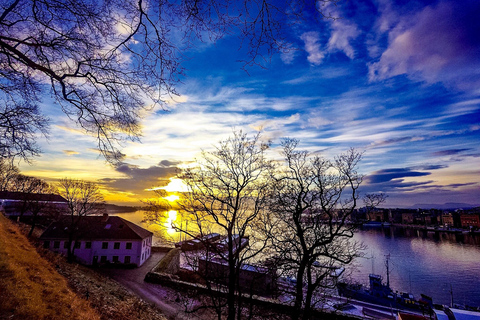 Oslo El-Bike Panorama TourEl Bike Panorama Tour