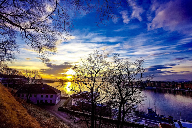 Oslo El-Bike Panorama TourEl Bike Panorama Tour