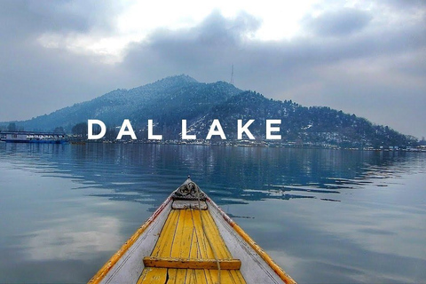 Srinagar: Private Day Tour with Shikara Ride at Dal Lake From Delhi: Private Day Tour with Shikara Ride at Dal Lake