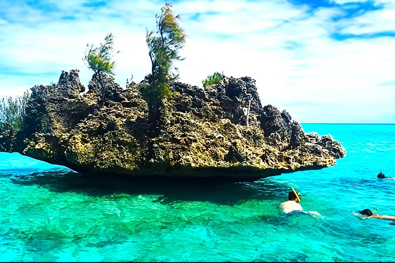 Île aux Bénitiers : Excursion en catamaran avec observation des dauphins et déjeuner