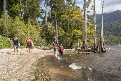 De Franz Josef : TranzAlpine et visite en bus à Christchurch