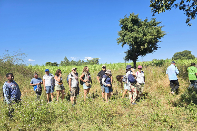 Äthiopien: 29-tägige Tour durch den Norden, Osten und Süden