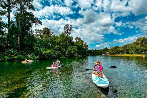 Orlando: Lake Conway Paddle Board or Kayak Tour