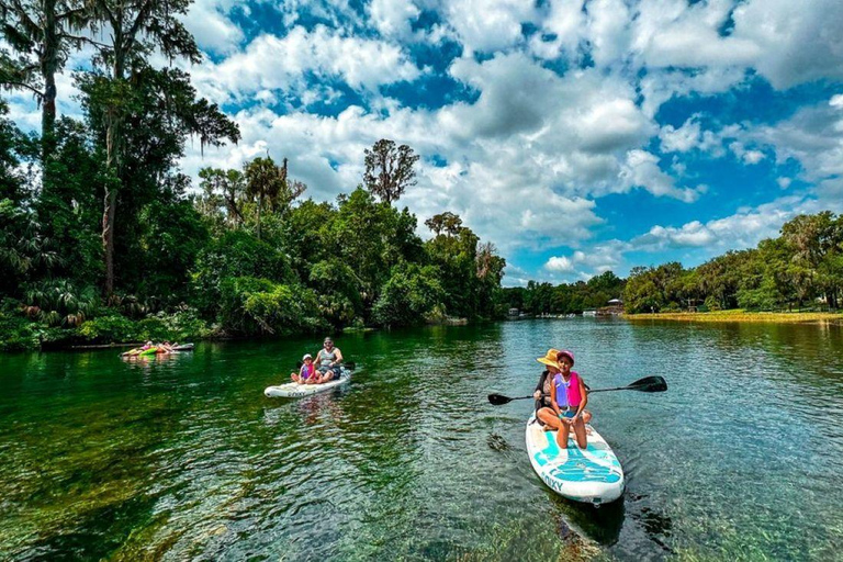 Orlando: Lake Conway Paddle Board or Kayak Tour