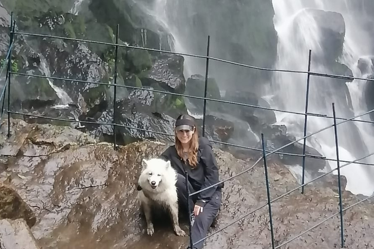 Bogotá: La Chorrera Waterfall Yoga and Forest Bathing