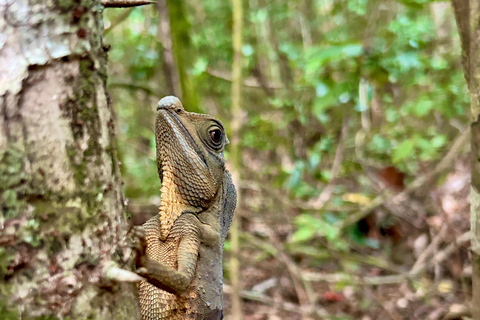 Bentota River Safari with Bazaar from ahungalla