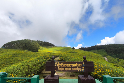 Chiang Mai: Pro Private Driver Service with Custom Itinerary
