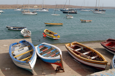 Sal Island: Full-Day Highlights Tour with a Local Guide (Pick-up Included) Private tour: