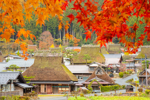 Osaka: Amanohashidate, Ine Hunaya, Miyama-Village Escursione di 1 giorno